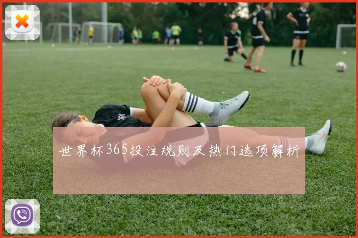 世界杯365投注规则及热门选项解析