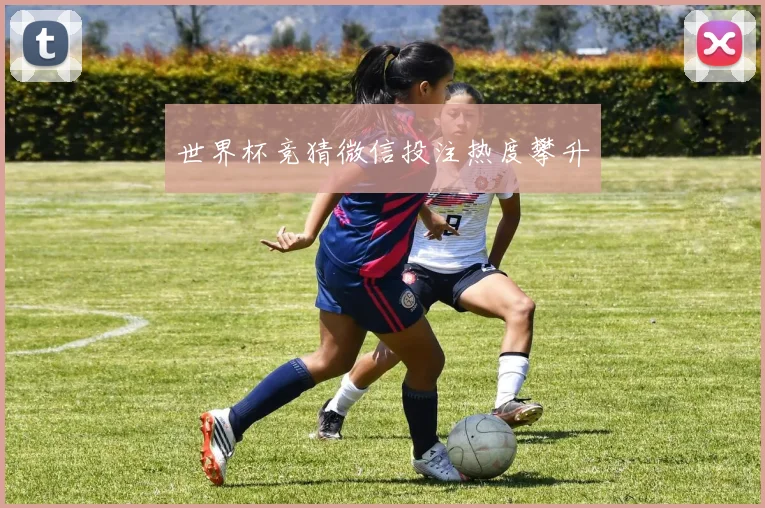 世界杯竞猜微信投注热度攀升