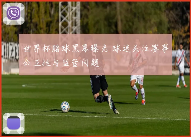 世界杯赌球黑幕曝光 球迷关注赛事公正性与监管问题