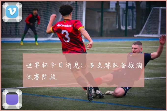 世界杯今日消息:多支球队备战淘汰赛阶段