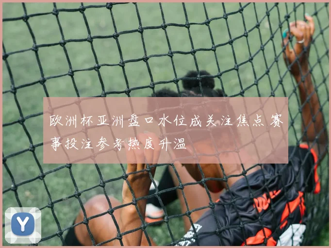 欧洲杯亚洲盘口水位成关注焦点 赛事投注参考热度升温