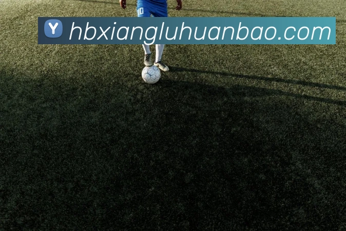 奖项证书